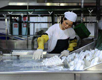 著名成都商用廚房設備廠告訴你專業(yè)的廚具消毒方法